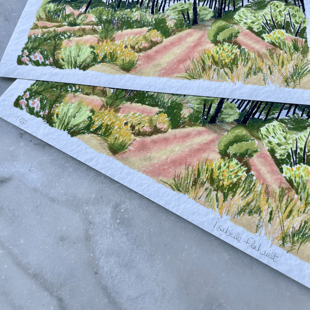 La forêt dunaire