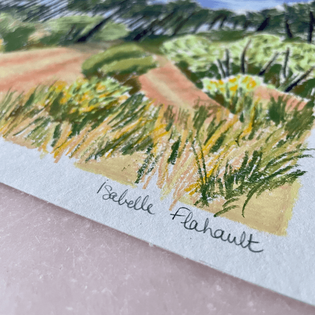 La forêt dunaire
